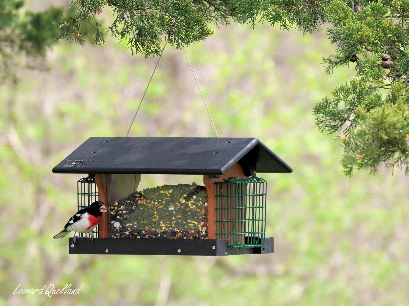 Amish-Made Deluxe Bird Feeder with Suet Holder, Made With Poly Lumber - Kidtoycart