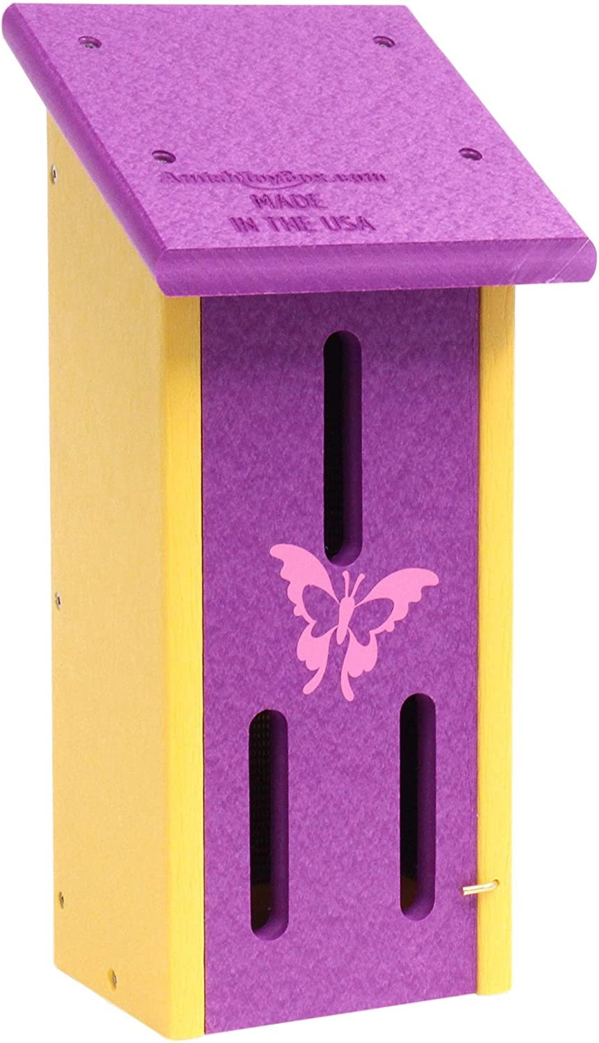 Amish-Made Butterfly House, Eco-Friendly Poly Lumber - Kidtoycart