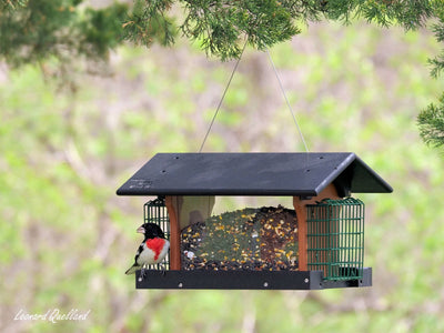 Amish-Made Deluxe Bird Feeder with Suet Holder, Made With Poly Lumber - Kidtoycart