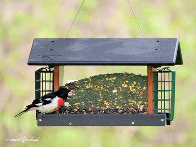 Amish-Made Deluxe Bird Feeder with Suet Holder, Made With Poly Lumber - Kidtoycart