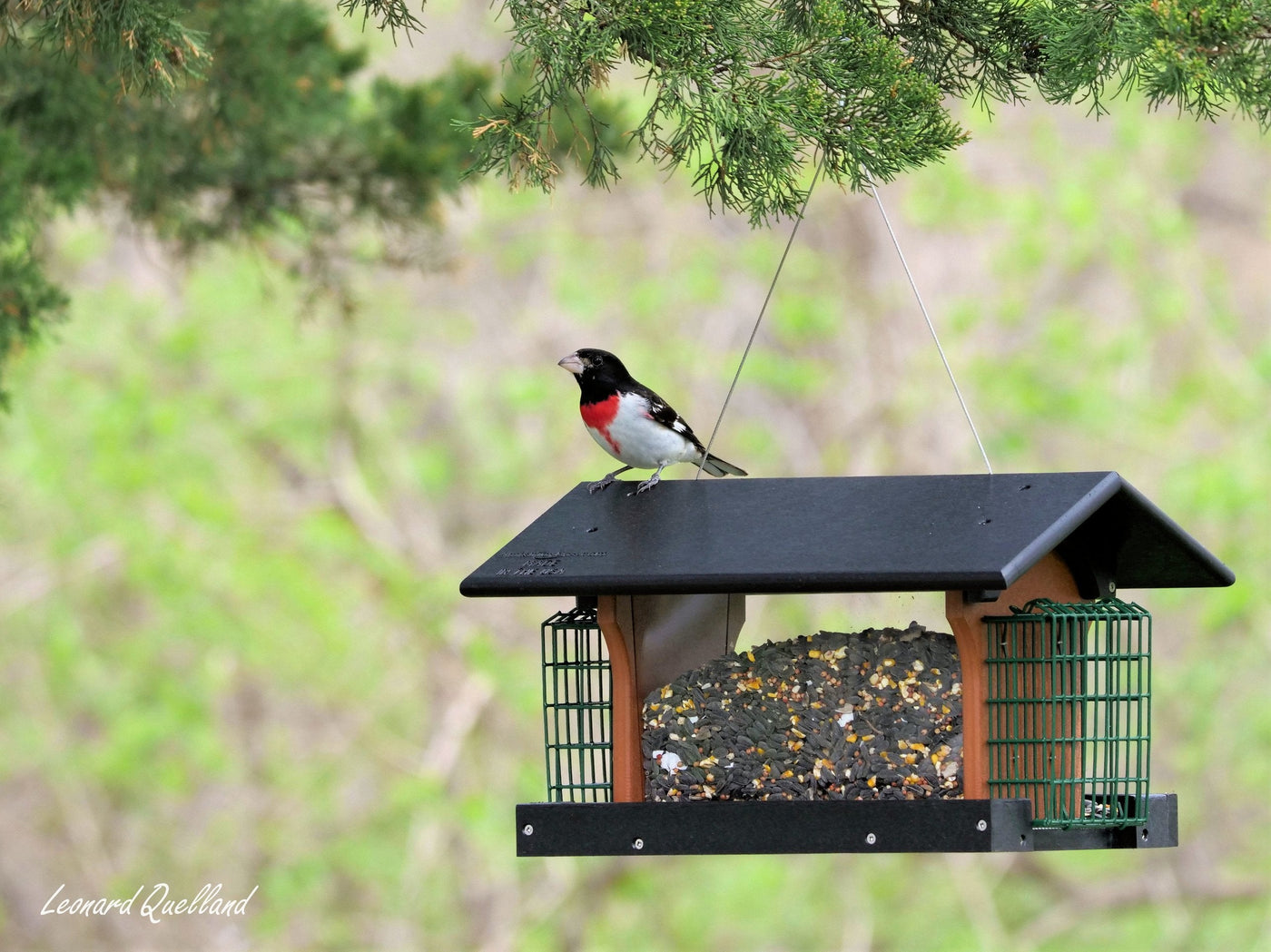 Amish-Made Deluxe Bird Feeder with Suet Holder, Made With Poly Lumber - Kidtoycart
