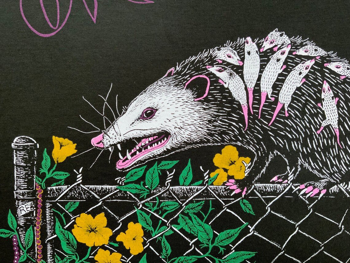 New Orleans Possum