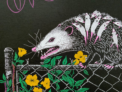 New Orleans Possum