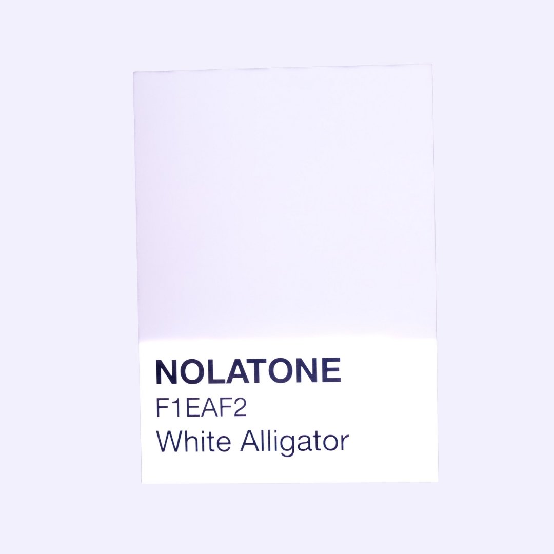 Nolatones Postcard - White Alligator