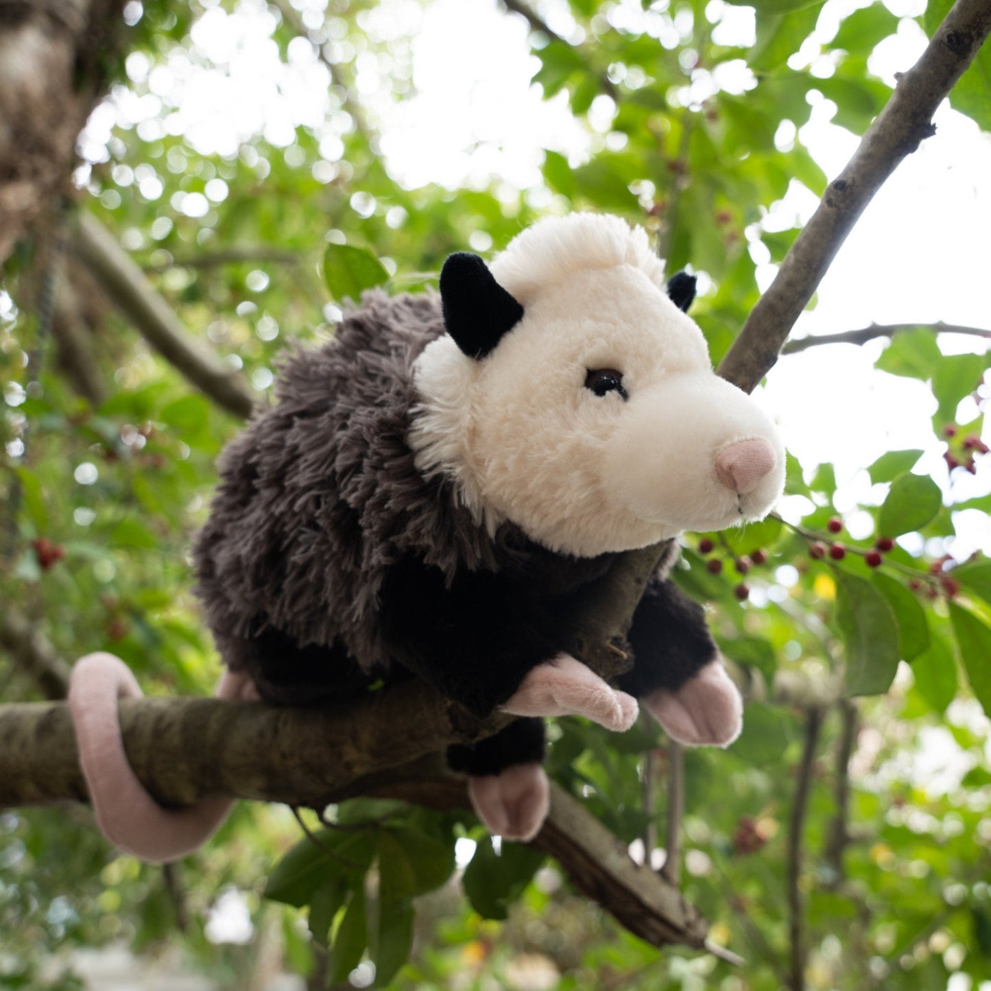 Possum Plush