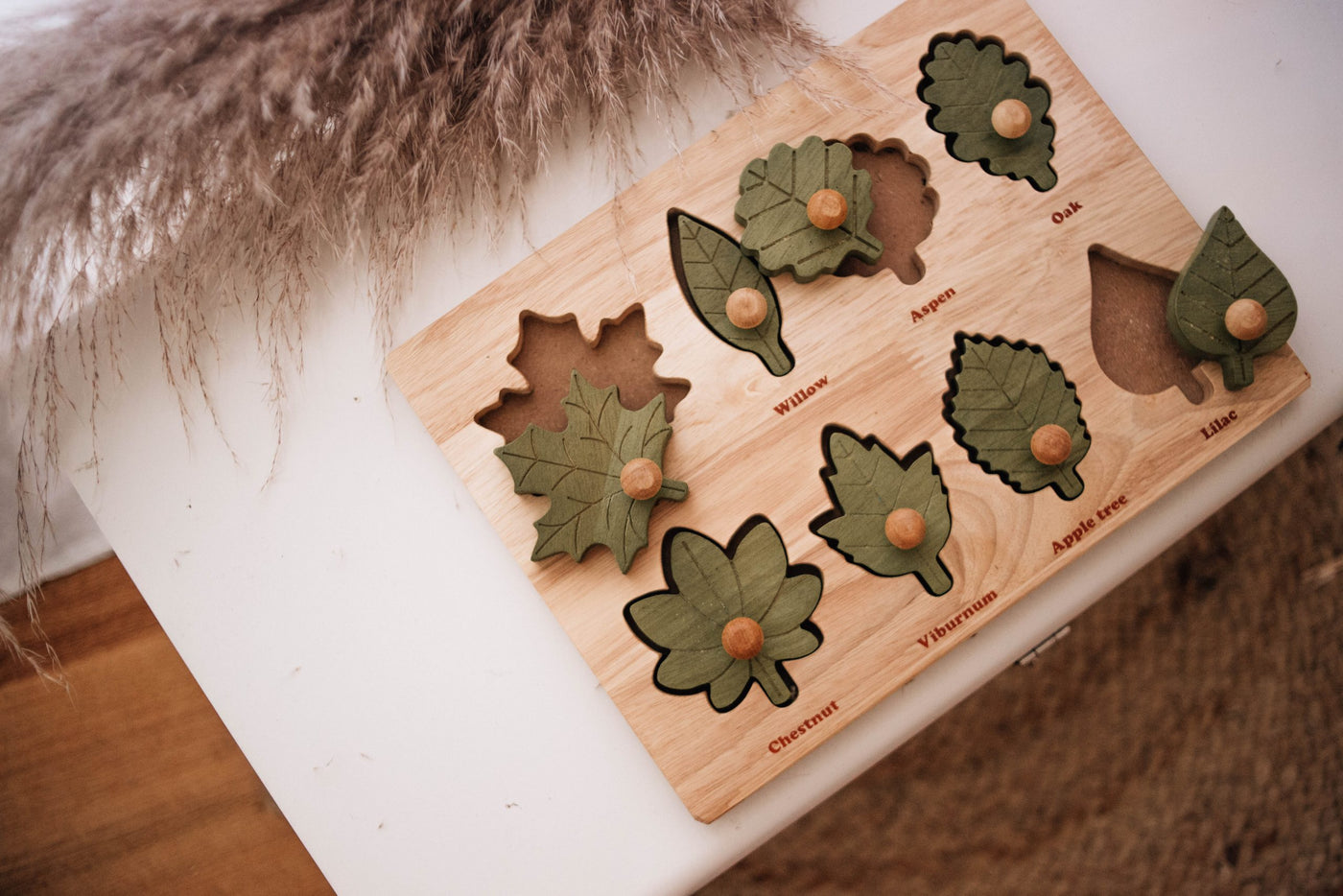 QToys Leaf puzzle