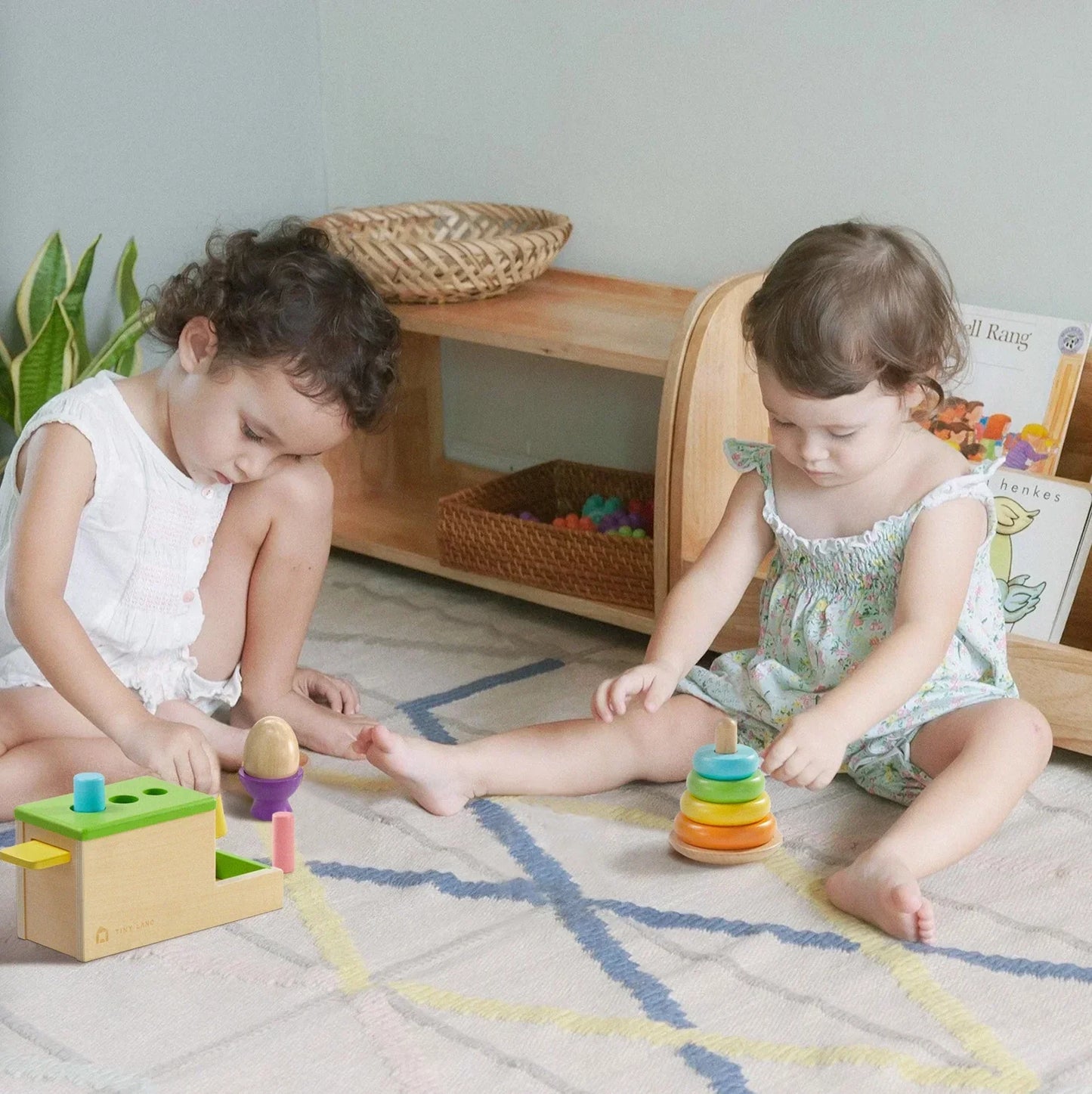 Tiny Land® Montessori Toys Set for Infants (10-12 month) - Kidtoycart